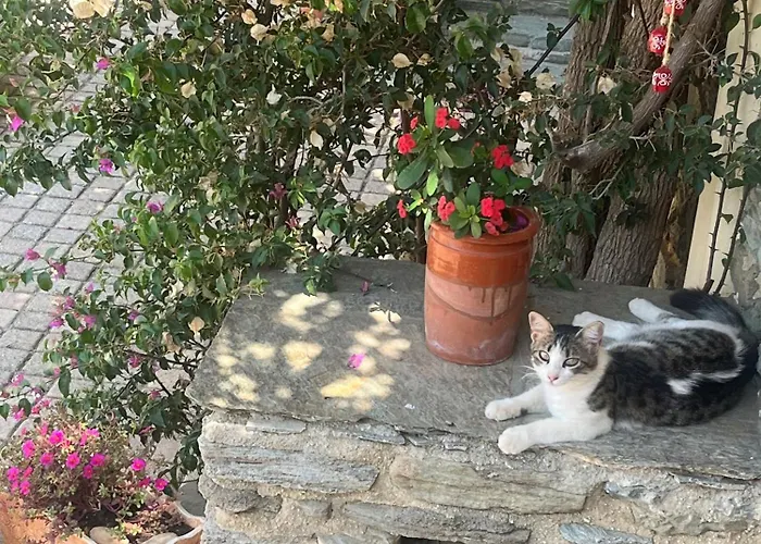 Apartamento Anastasia Luxury Ano Gavrio